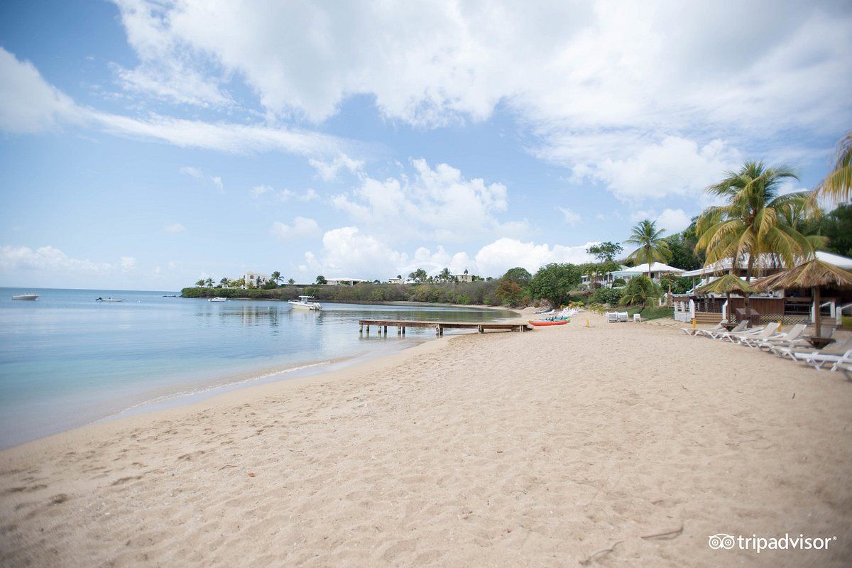 A beach with a dock in the middle of it