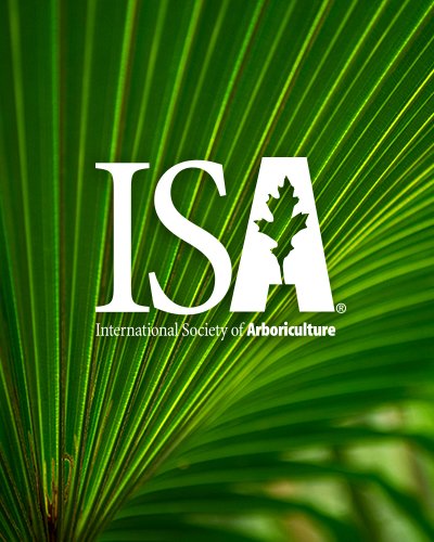 Tree Service Company in Little Rock, AR | Jim's Tree Service