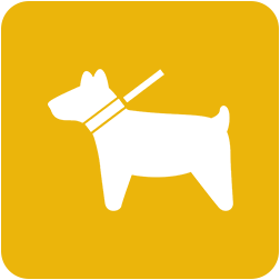 Icona cane