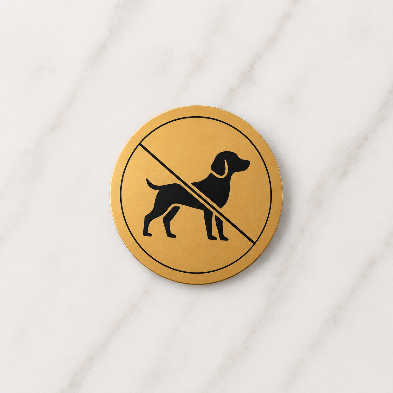 Pet Policy No Pets sign at a luxury boutique entrance indicating that pets are not permitted inside.
