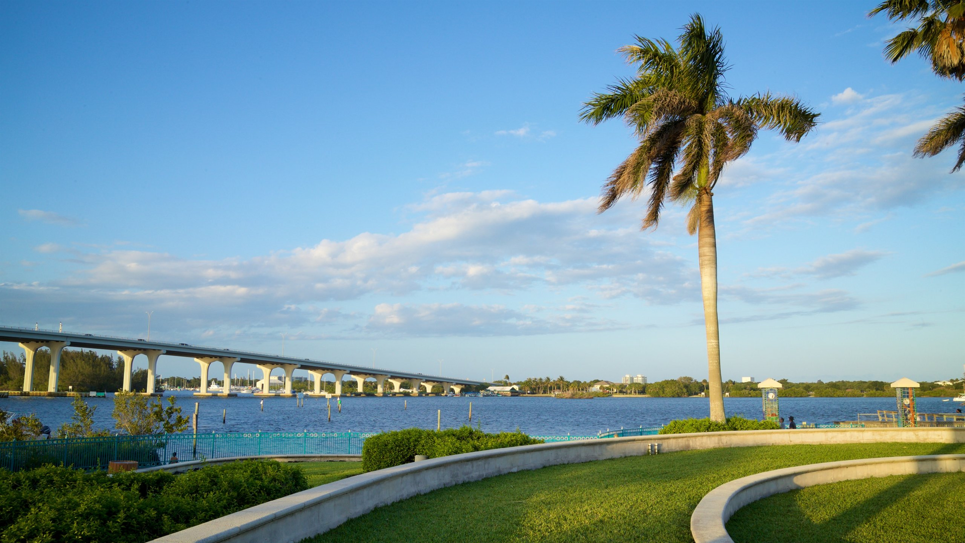 Palm tree by a waterfront park with a curved path, blue sky, and bridge in the distance