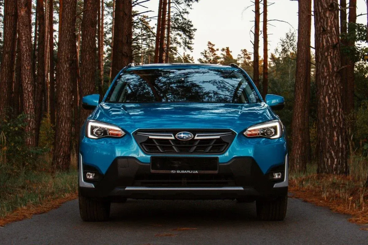 Blue SUV driving on a forest road between tall trees