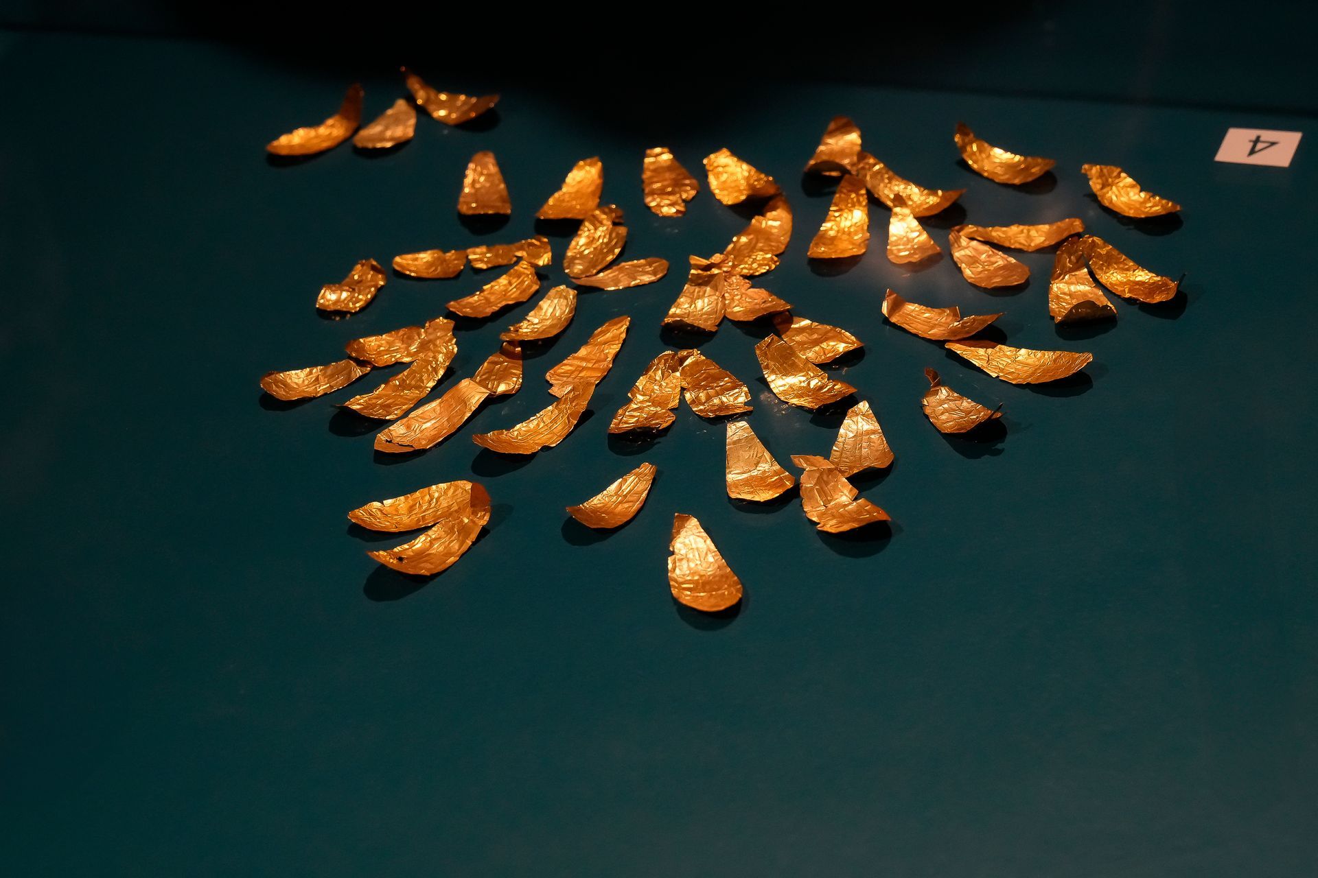 Gold foil leaves arranged in the display case