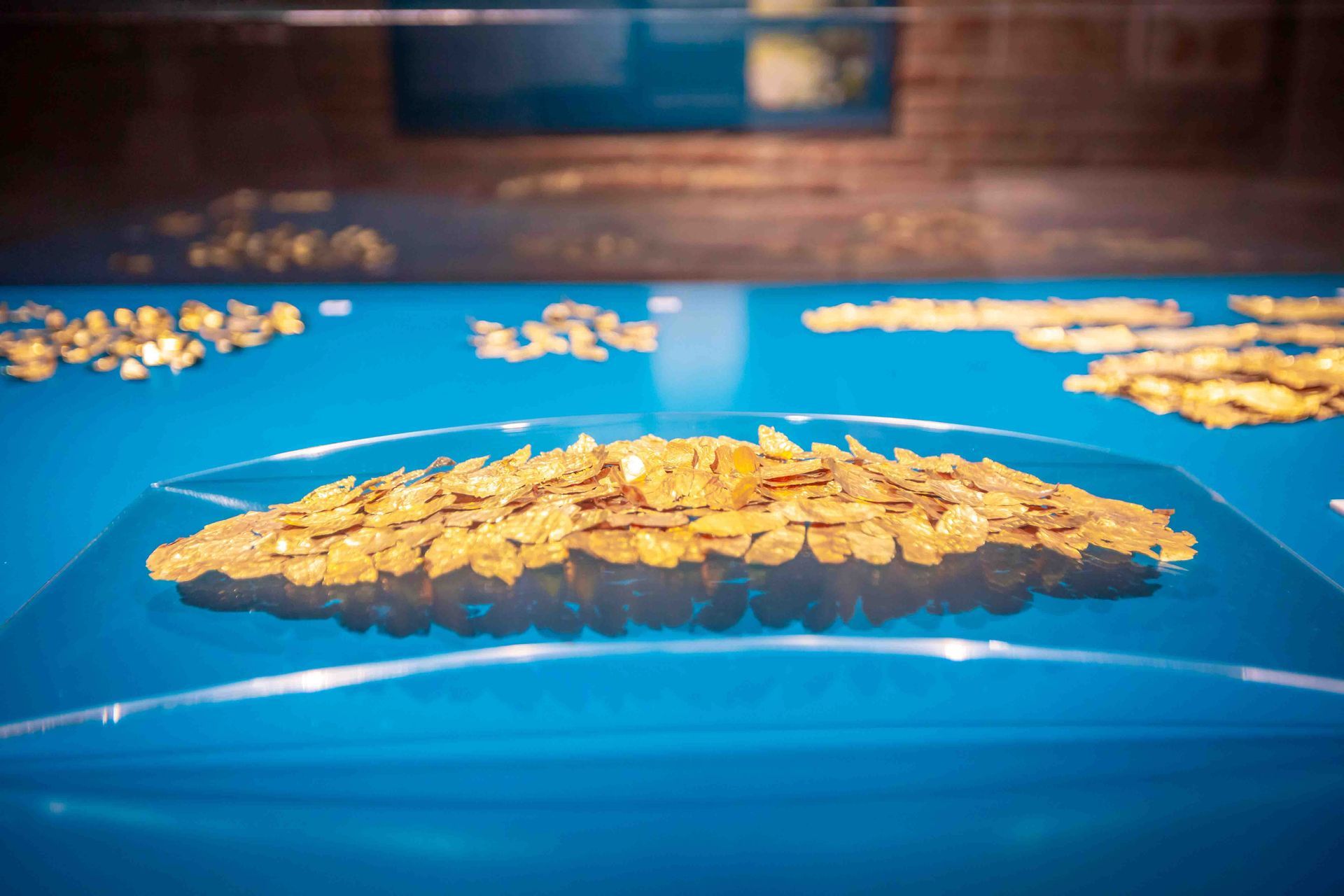 Close-up of the Golden Crown: the gold leaves reassembled inside the case