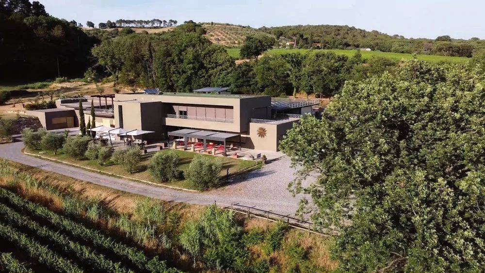 Casa moderna con patio e giardino, immersa tra vigneti e alberi in un paesaggio rurale.