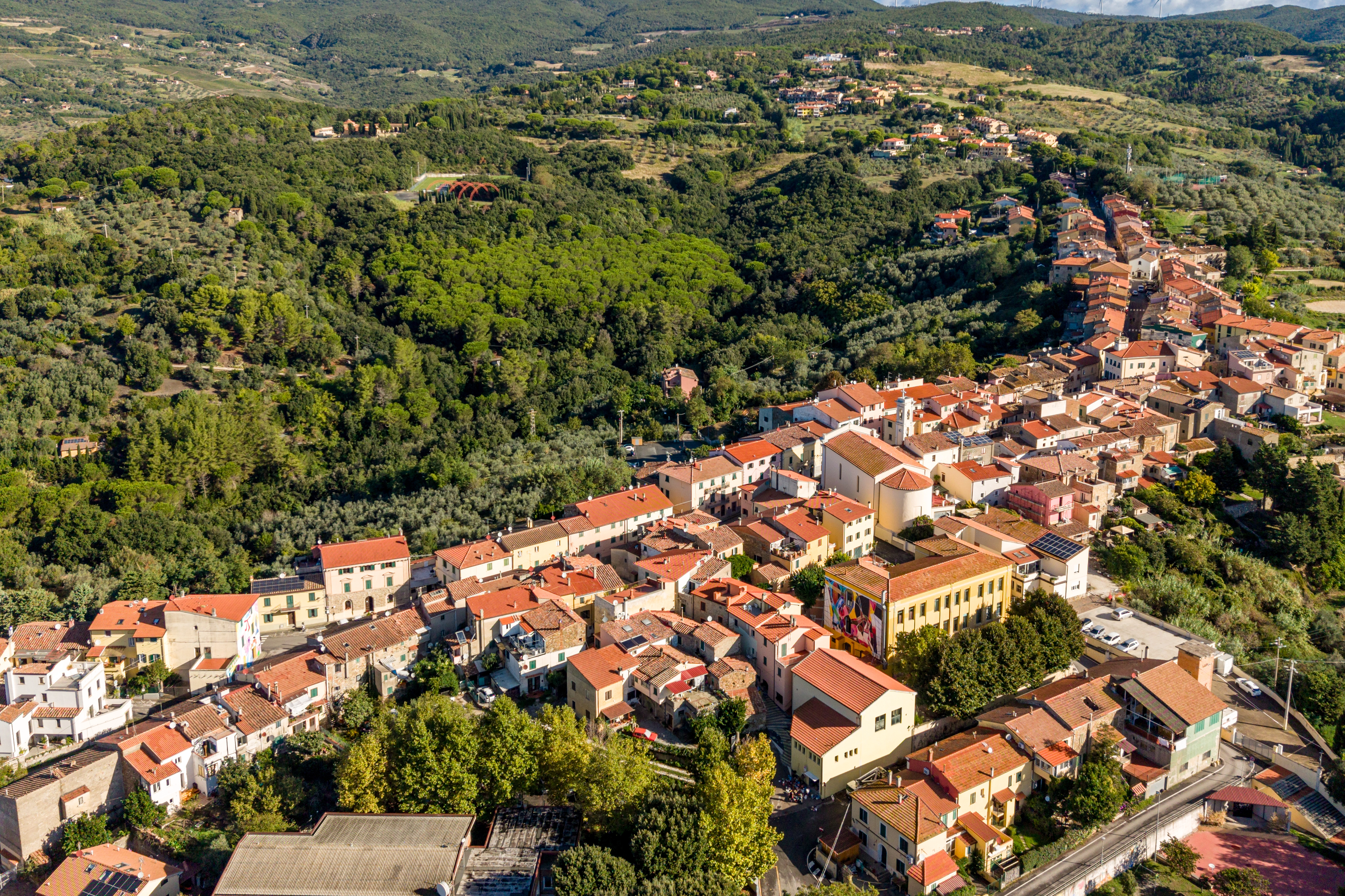 Bosco e colline di Riparbella