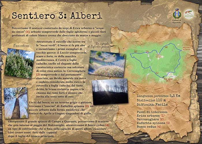 Sentiero 3 Alberi — bosco di Riparbella