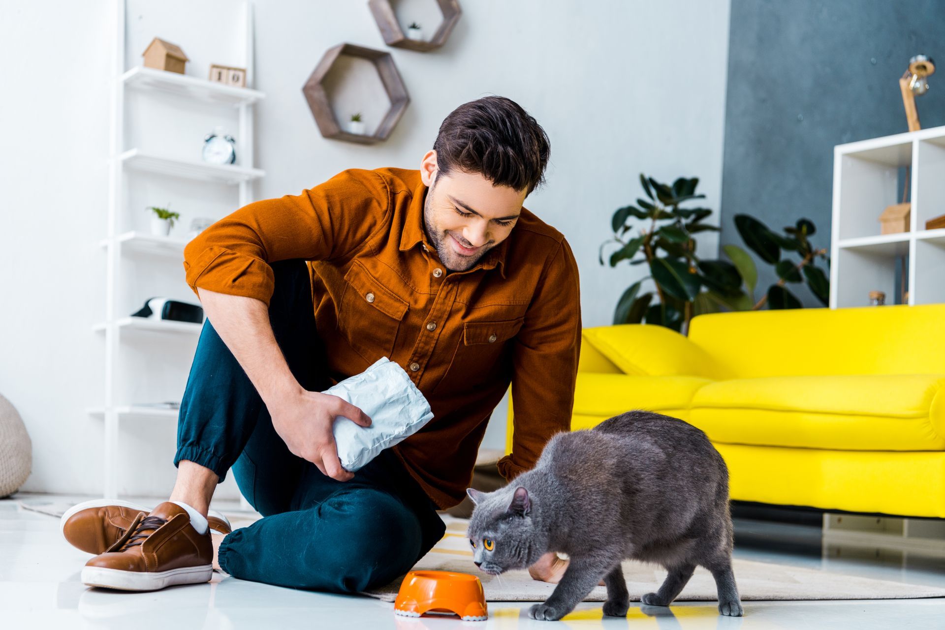 pet food