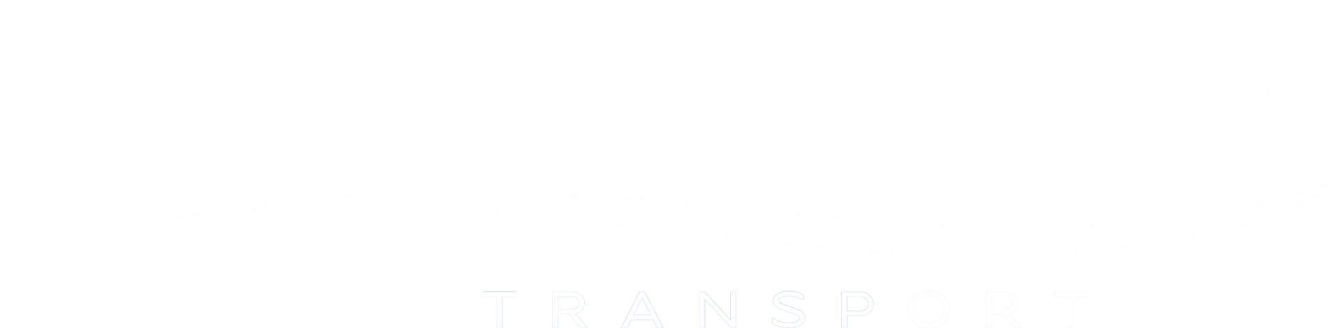 a white background with a few lines on it