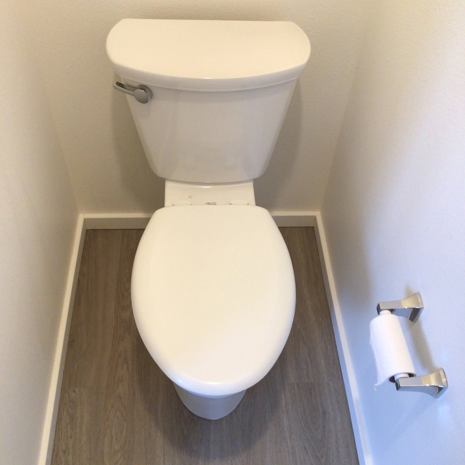 Small white toilet in a narrow restroom with a toilet paper holder on the right wall