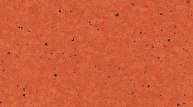 Kumquat coloured tile - Flooring in Alice Springs, NT