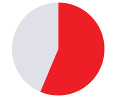 Red-and-light-gray pie chart with the red segment slightly larger than half.