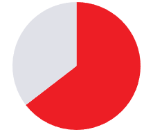 Red and light gray pie chart with the red section covering about two-thirds of the circle.
