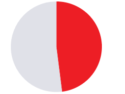 Two-tone pie chart with a red right half and light gray left half
