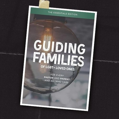 Book cover titled “Guiding Families of LGBT+ Loved Ones” with a green and gray design.