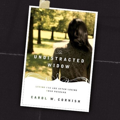 Book cover for 