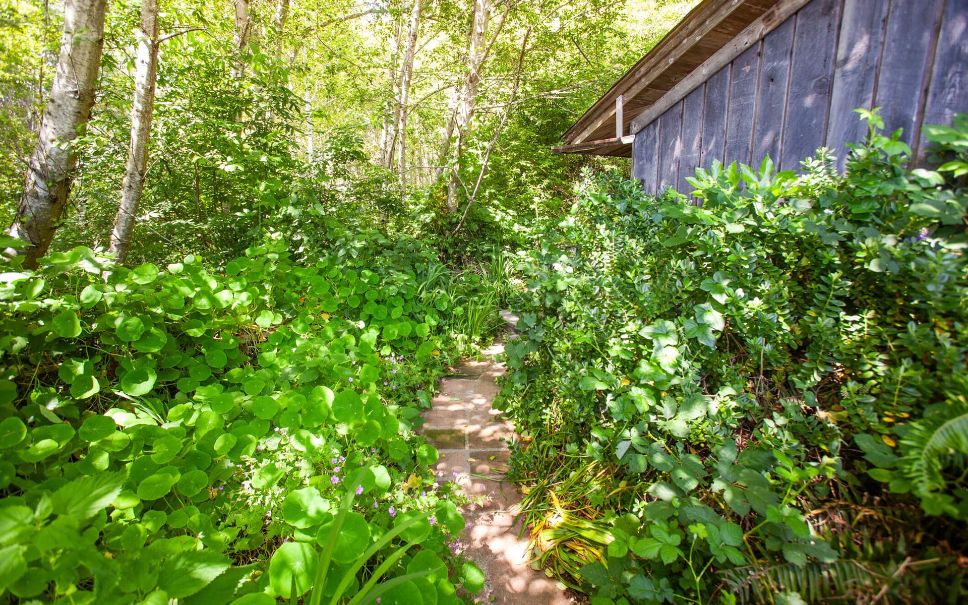 The Meadow Cabin getaway at the Howard Creek Ranch on the Mendocino Coast.