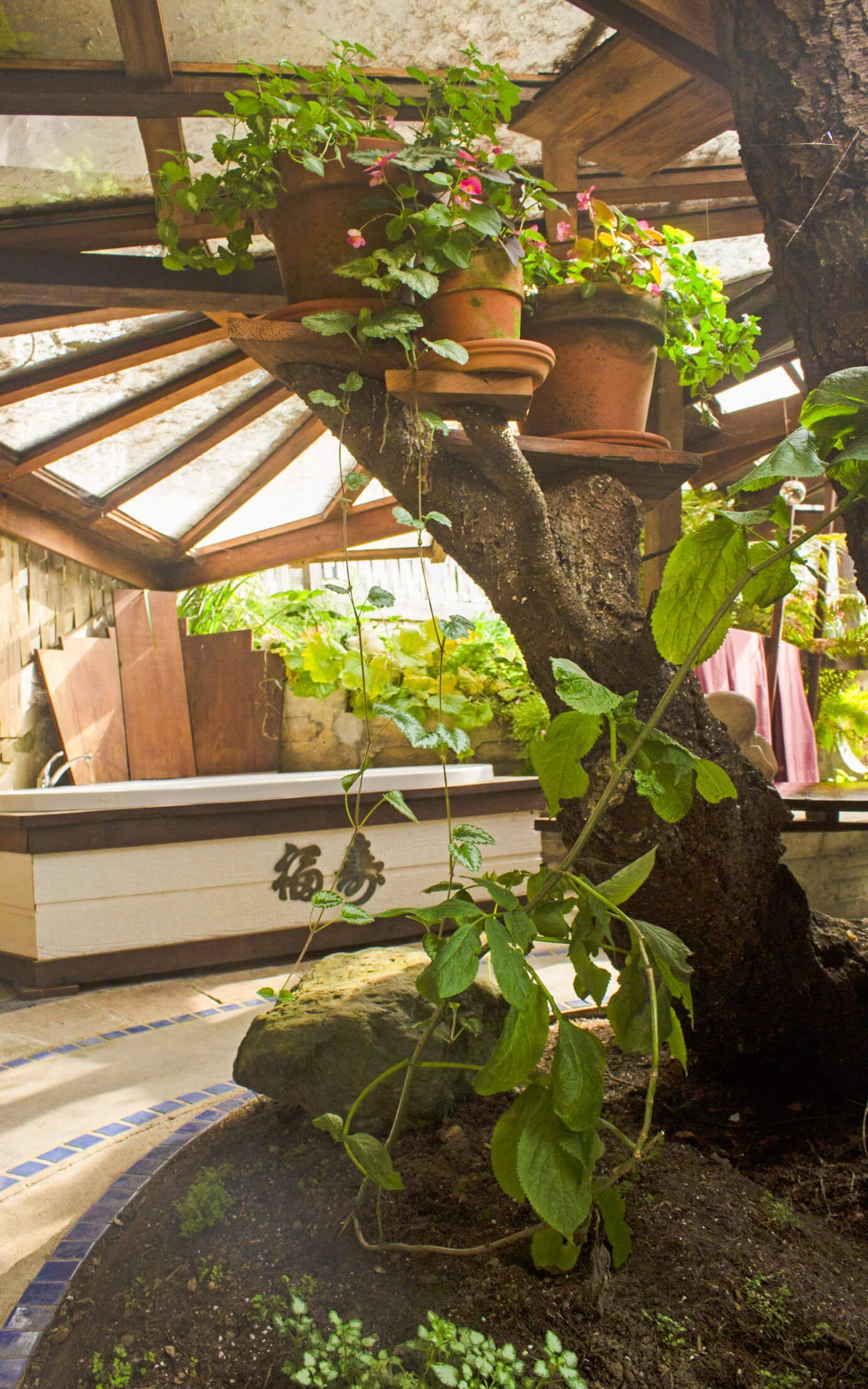 The Octagonal Cabin getaway at the Howard Creek Ranch on the Mendocino Coast.