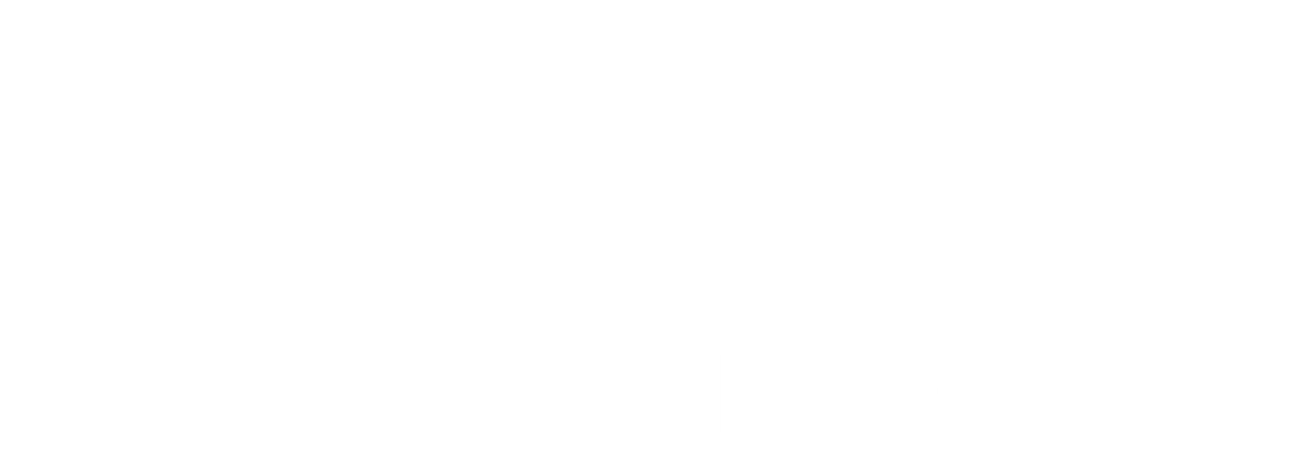 iCare Windscreens