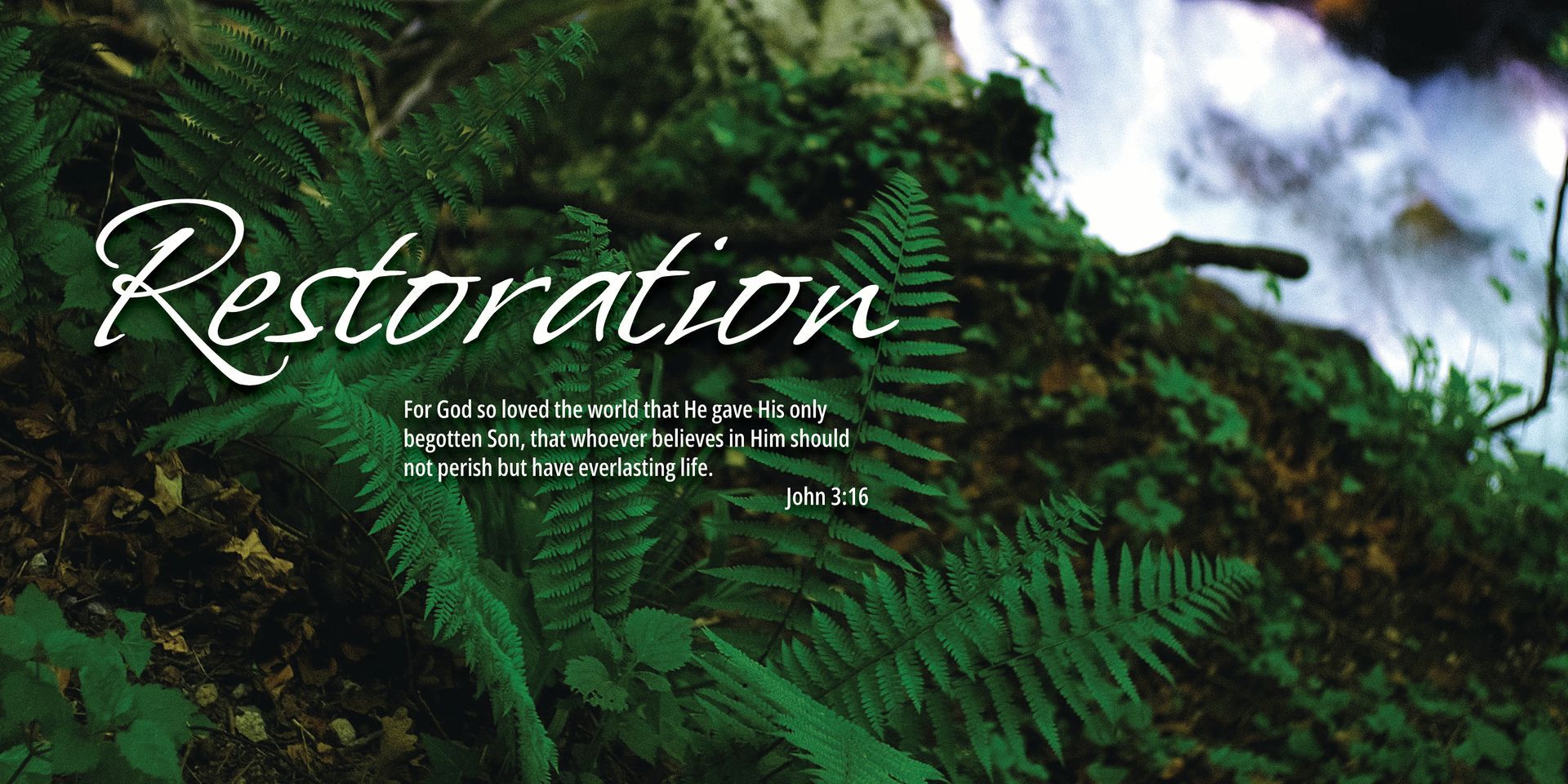 The bible verse John 3:16 over a photo of a lush green fern with a waterfall in the background
