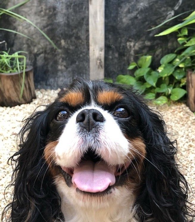 Staff Photo