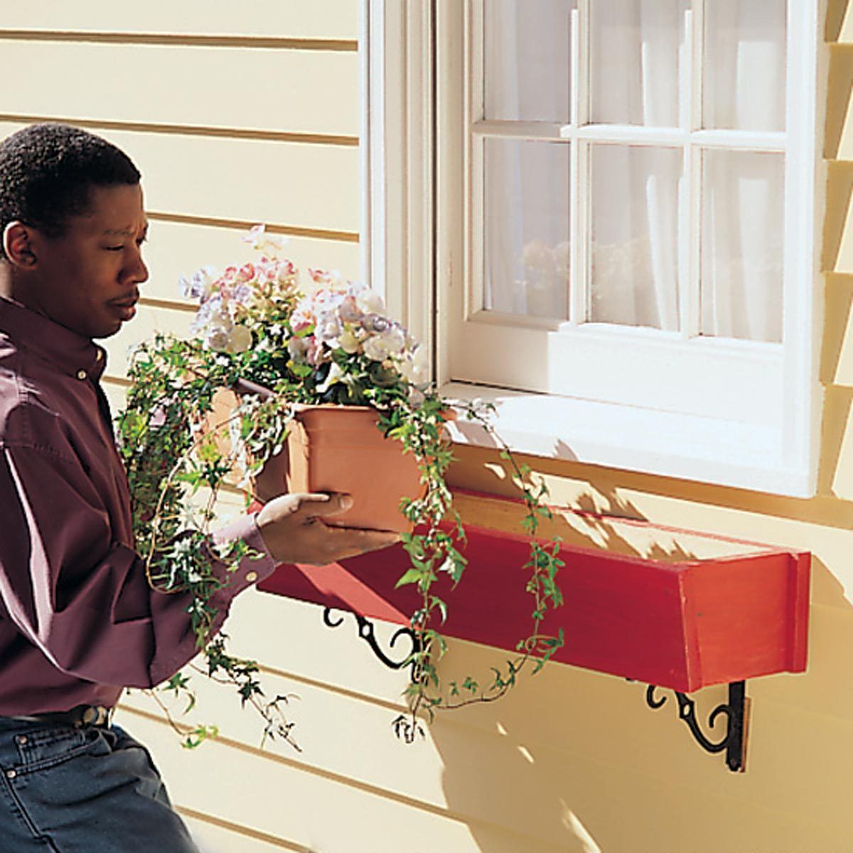 root-proof window box flowers