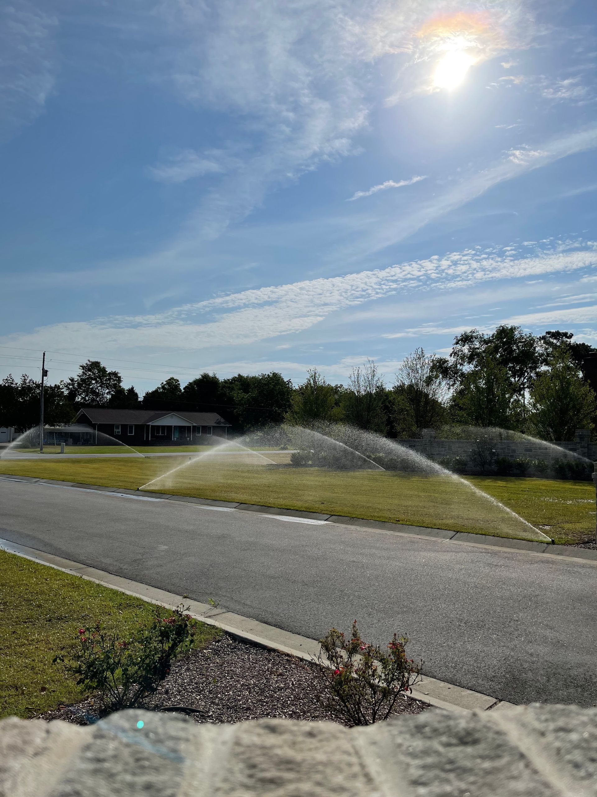 Sprinklers watering a green lawn beside a road on a sunny day.