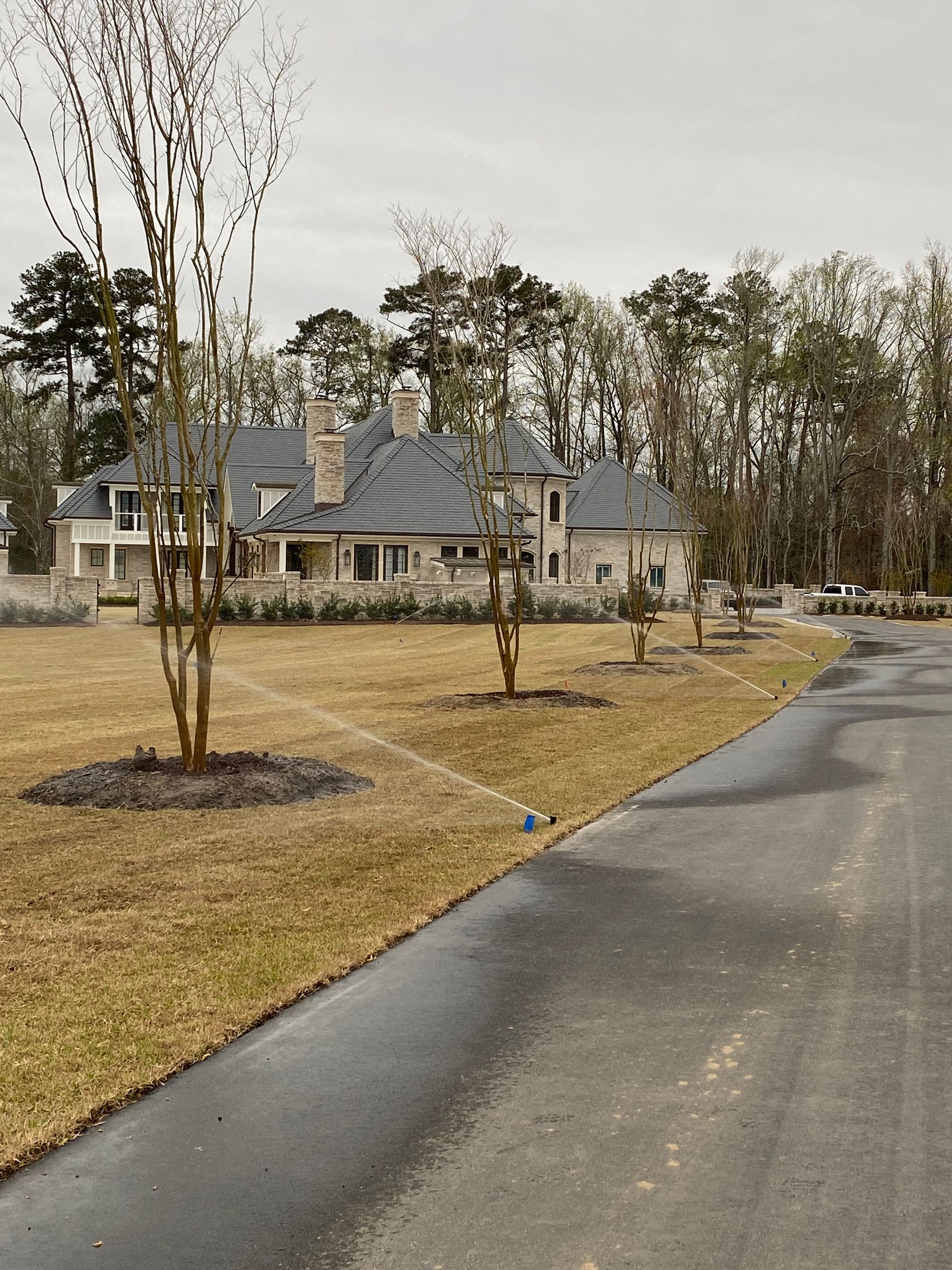 Large house with manicured lawn, driveway, and bare trees under cloudy sky.