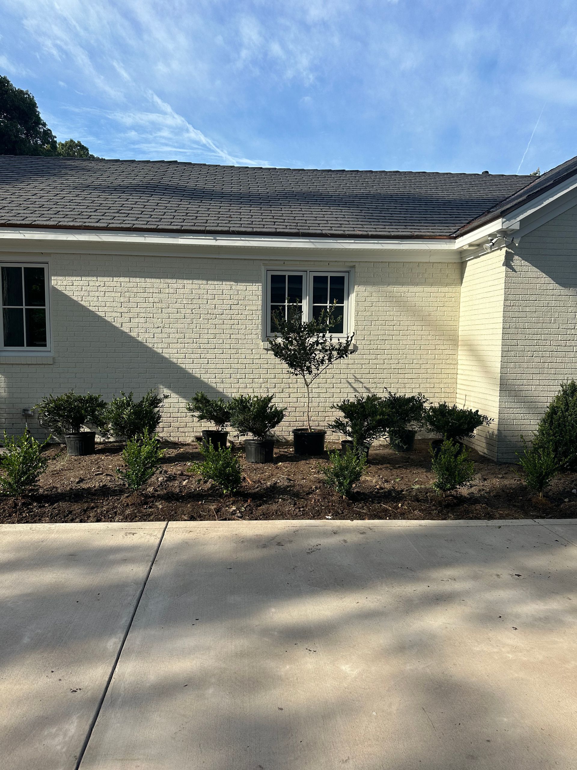 Exterior of a house with a row of potted plants along the foundation, a window, and a driveway.