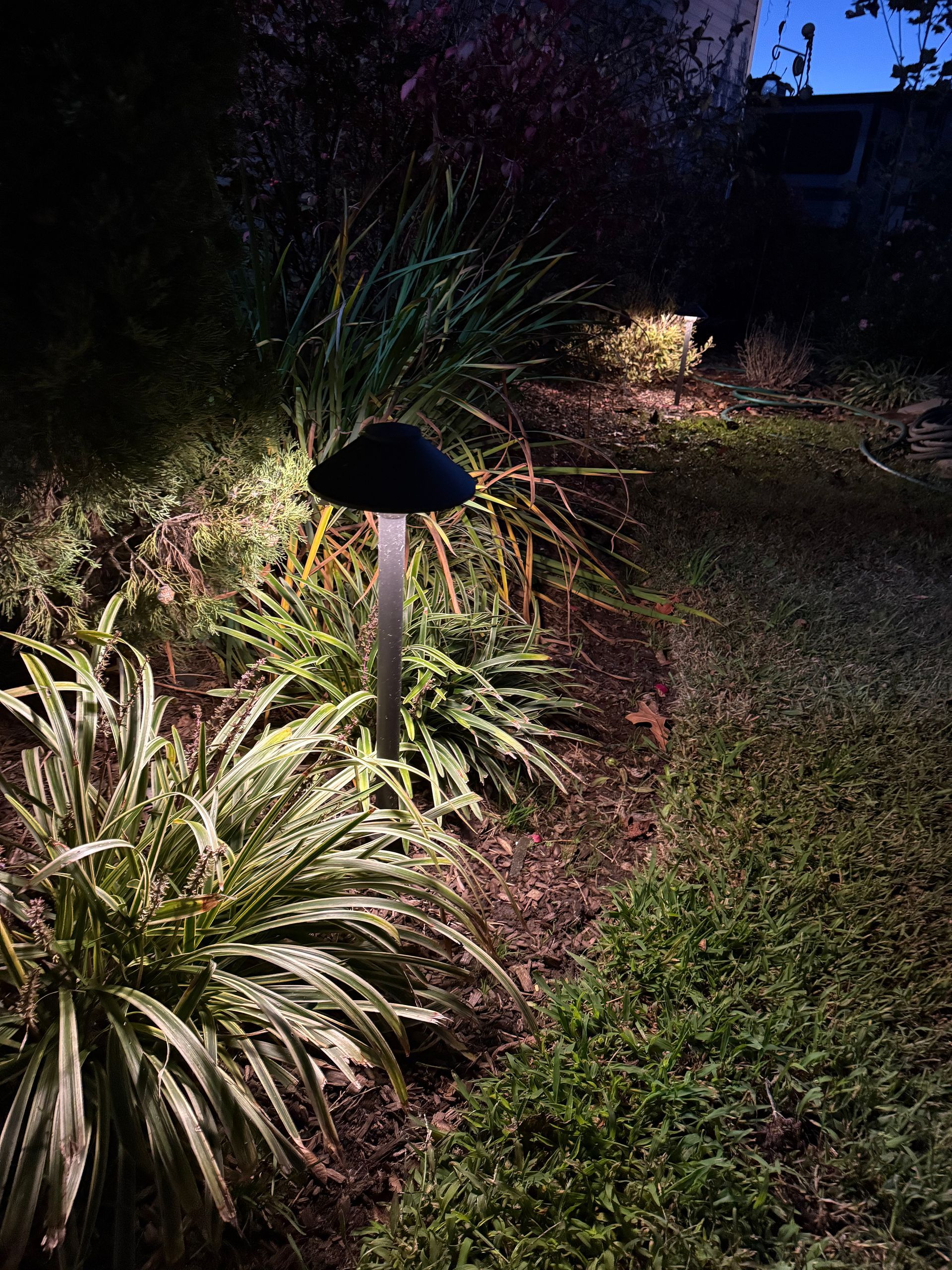 Outdoor garden path at night, illuminated by mushroom-shaped pathway lights and foliage.
