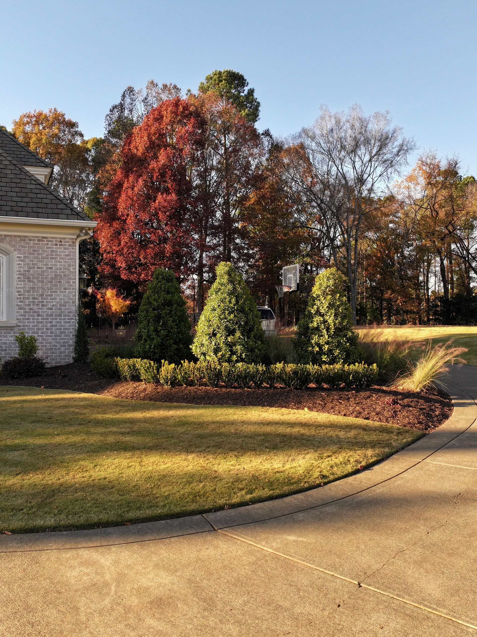 Lawn with manicured shrubs and trees, framed by a brick house and fall foliage under a clear sky.