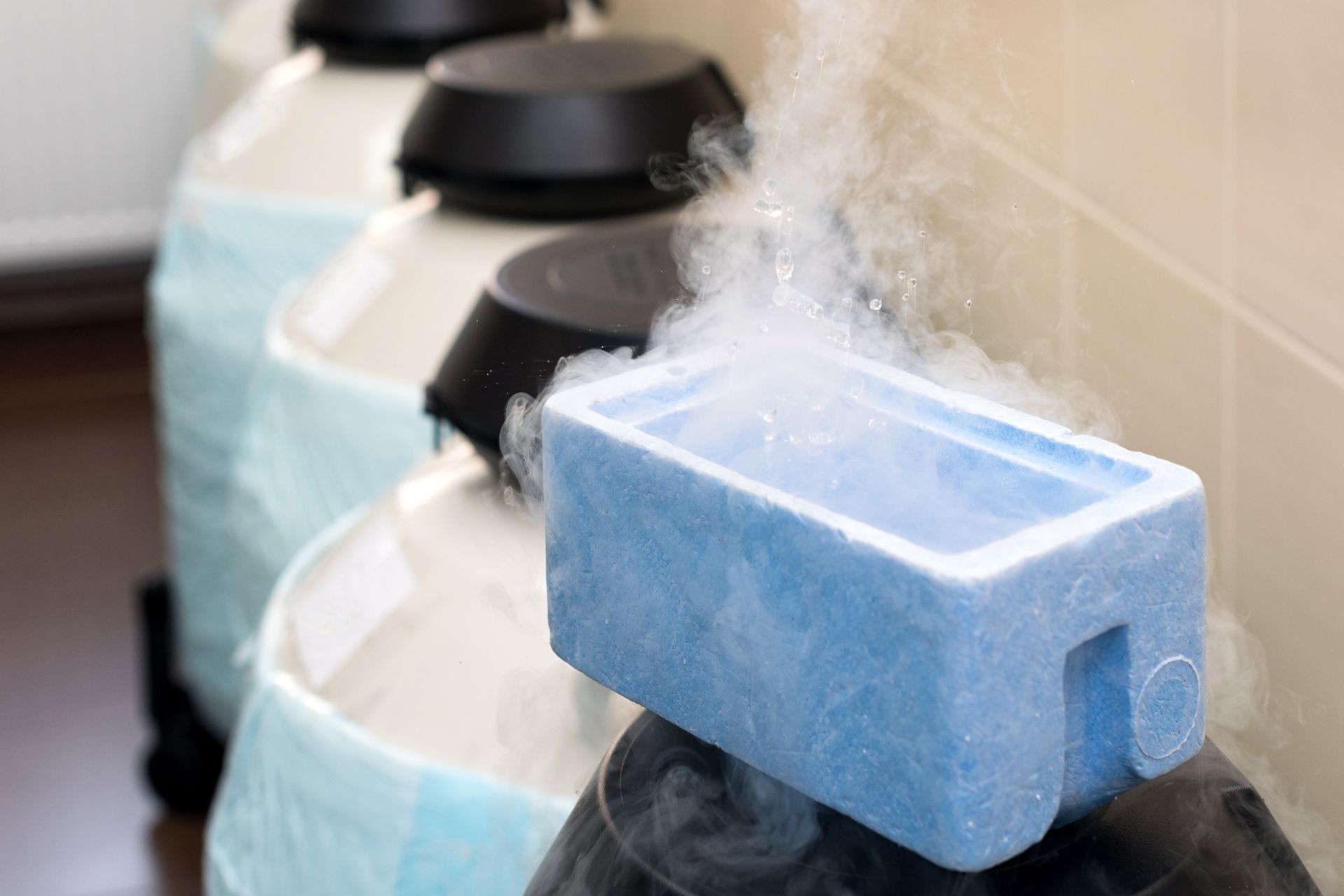 Tanks storing biological samples, emitting vapor. A blue container rests on one, with condensation.