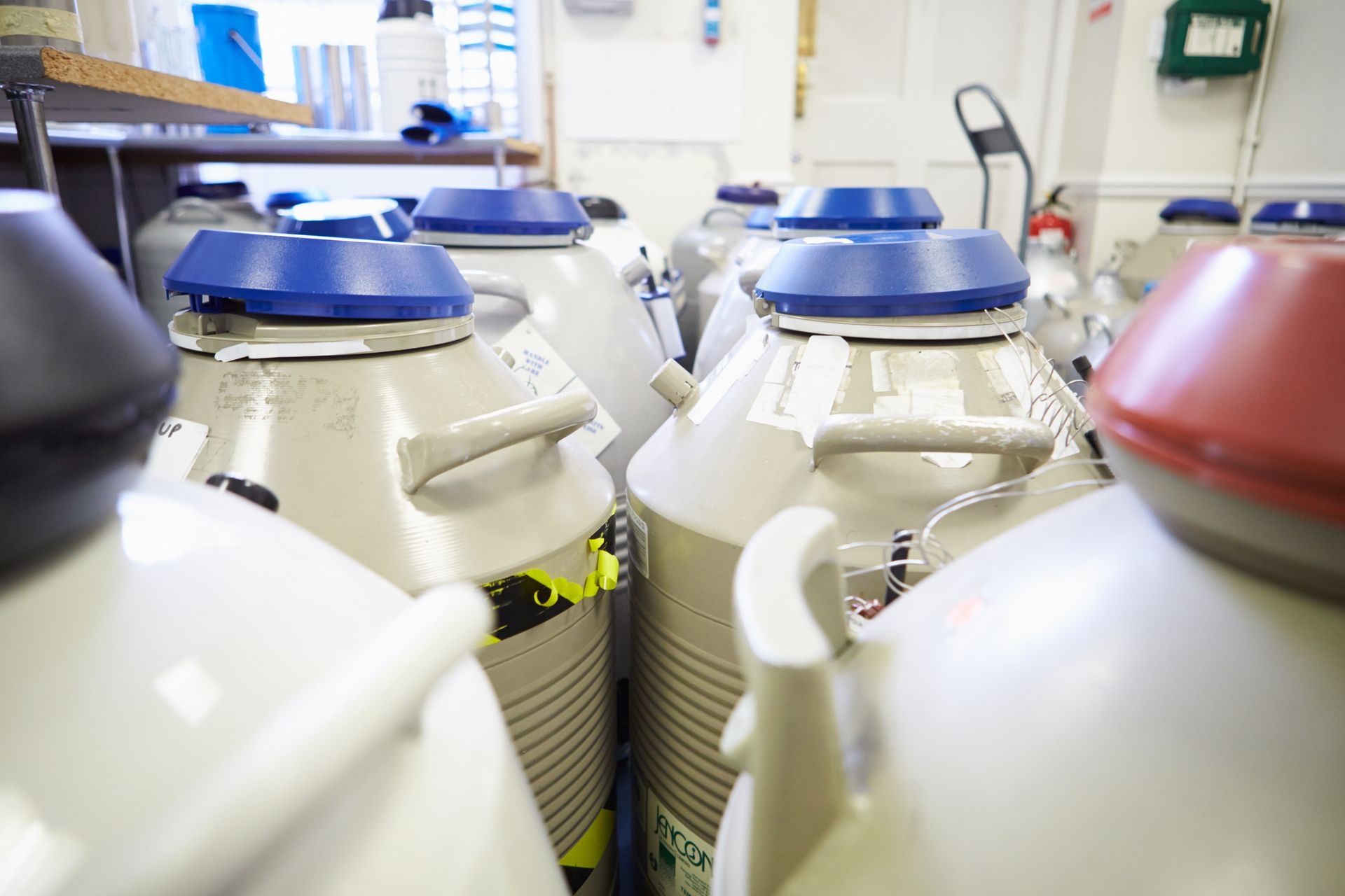 Réservoirs de stockage d'azote liquide dans un laboratoire, différentes couleurs, vue rapprochée.