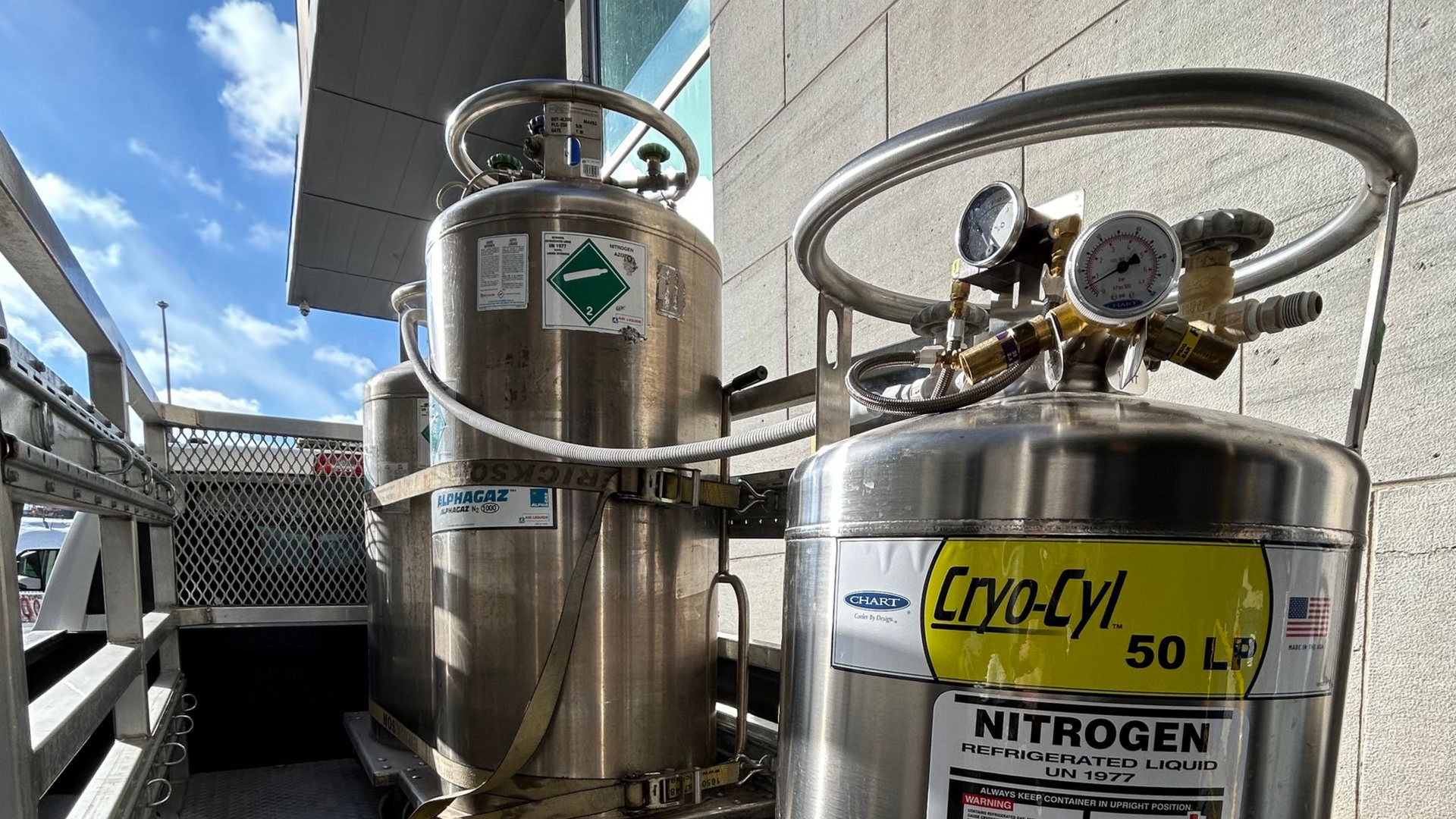Réservoirs d'azote étiquetés « Cryo-Cyl » avec jauges et étiquettes de danger vertes à l'extérieur.