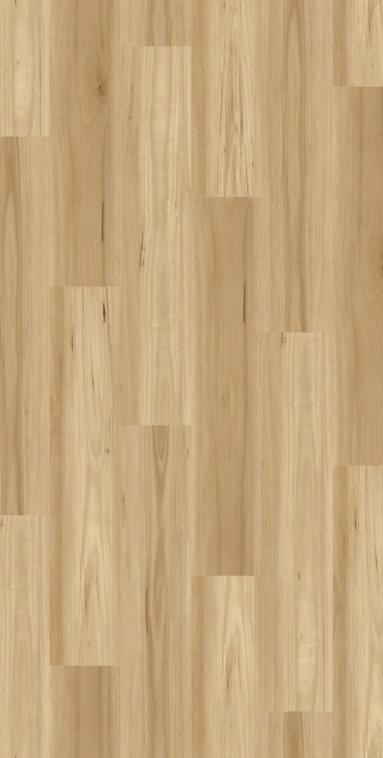 Newport Blackbutt