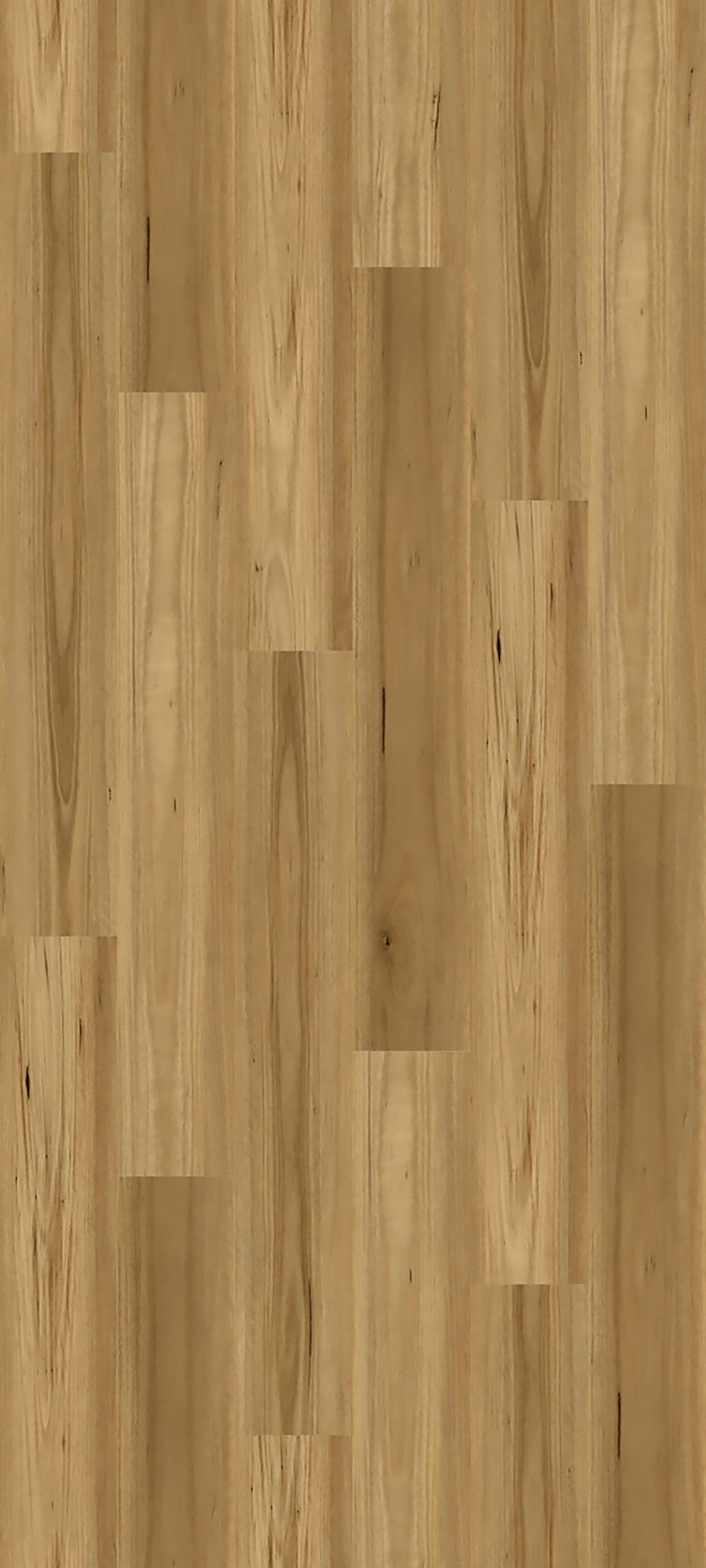 Jatinga Blackbutt
