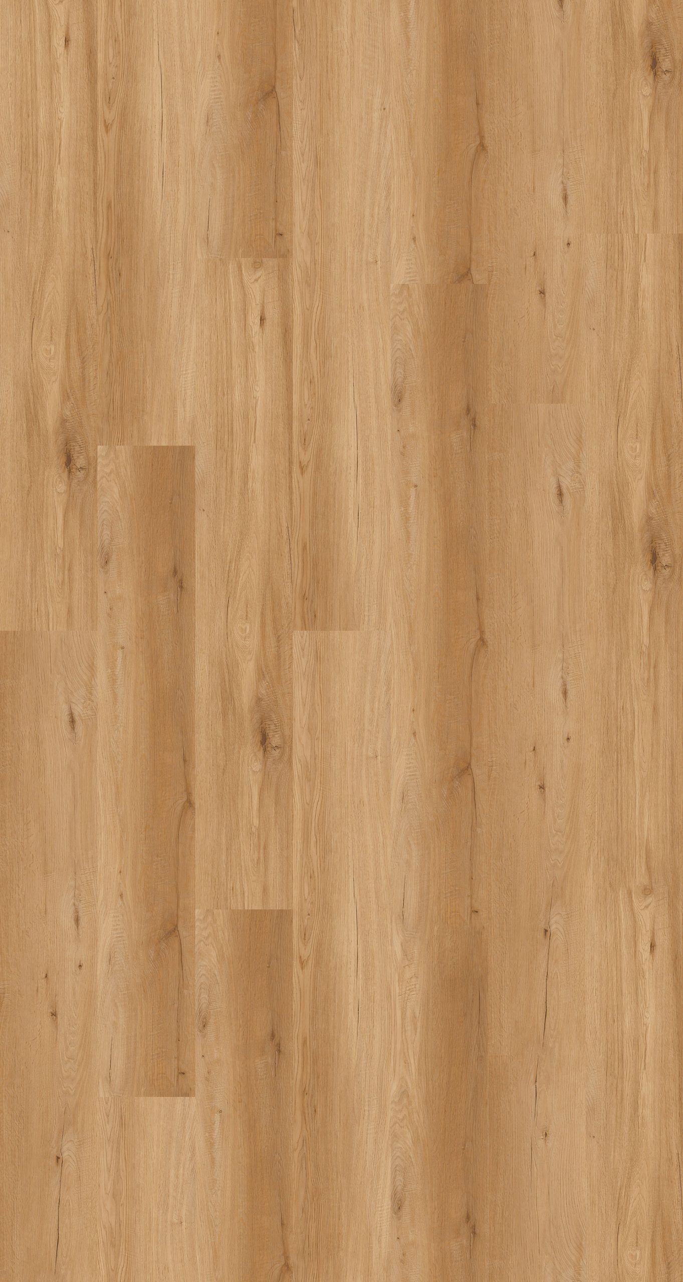 Exotic Moy Oak