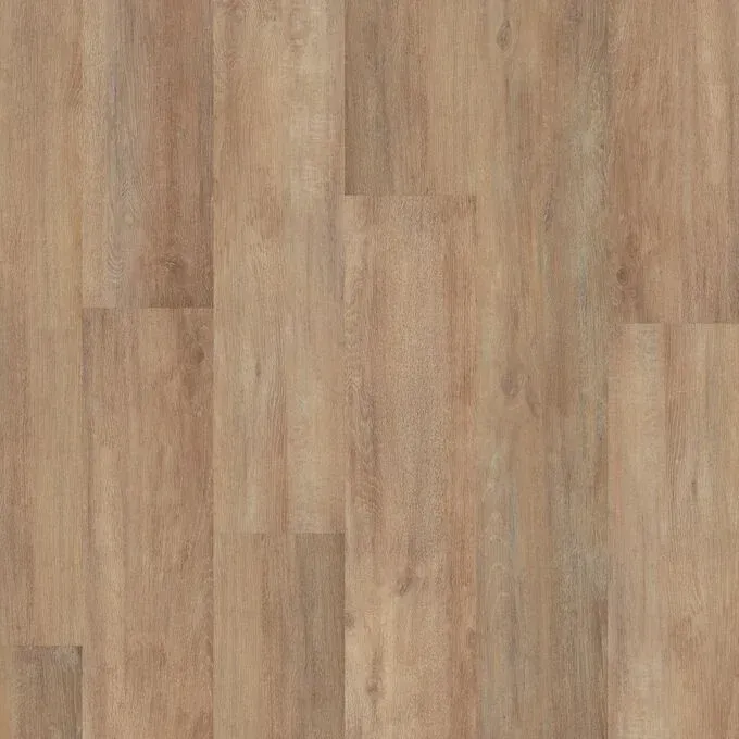 Grey Gum