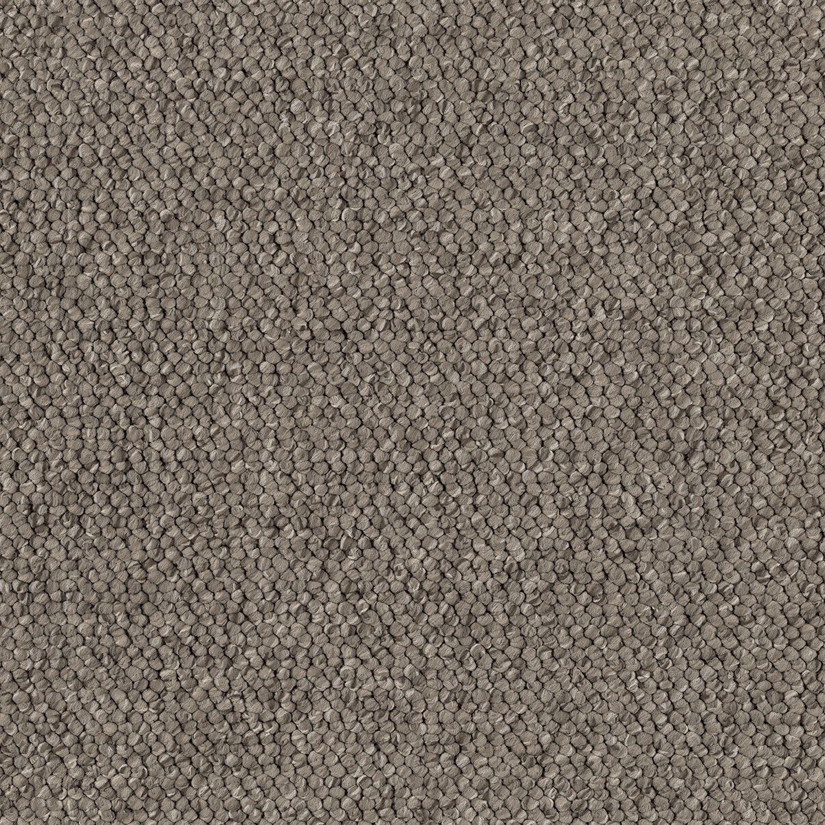 Berland 2552