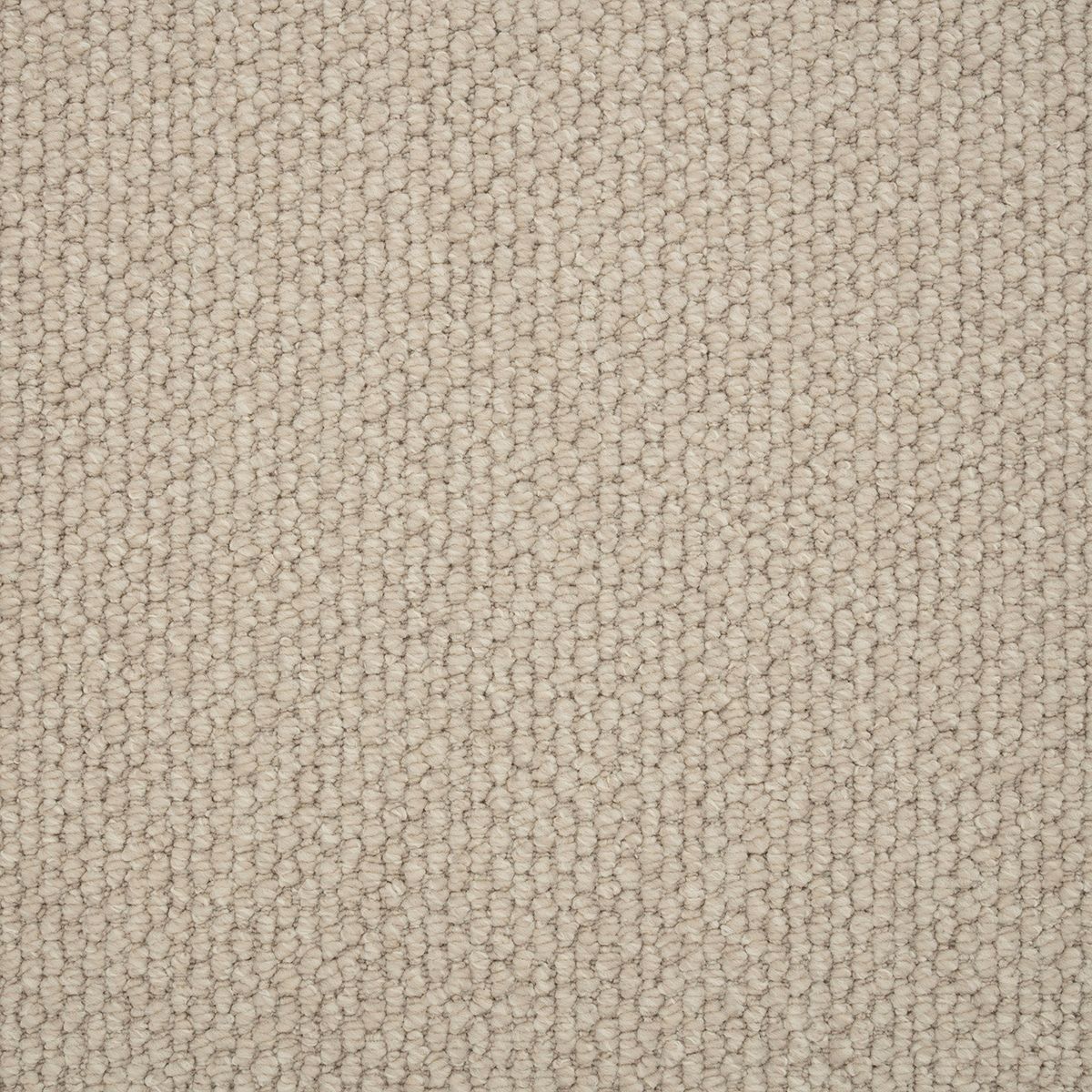 Blanche 3404