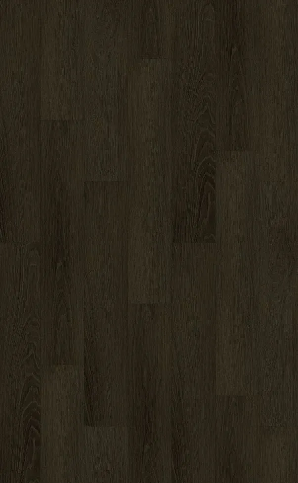 Cocoa Oak