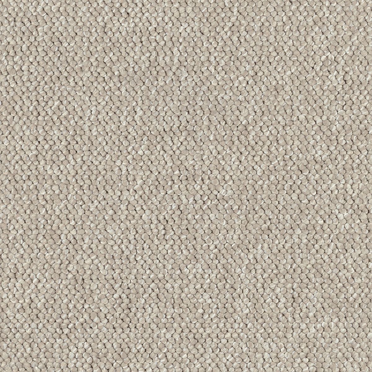 Colette 2521