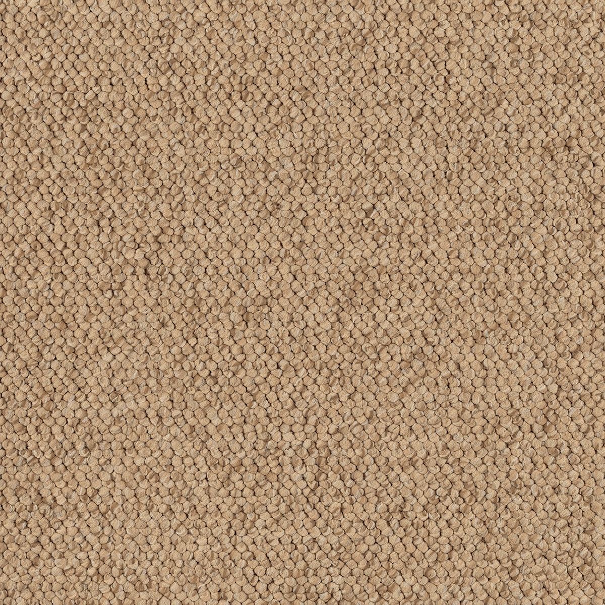 Emilion 2553