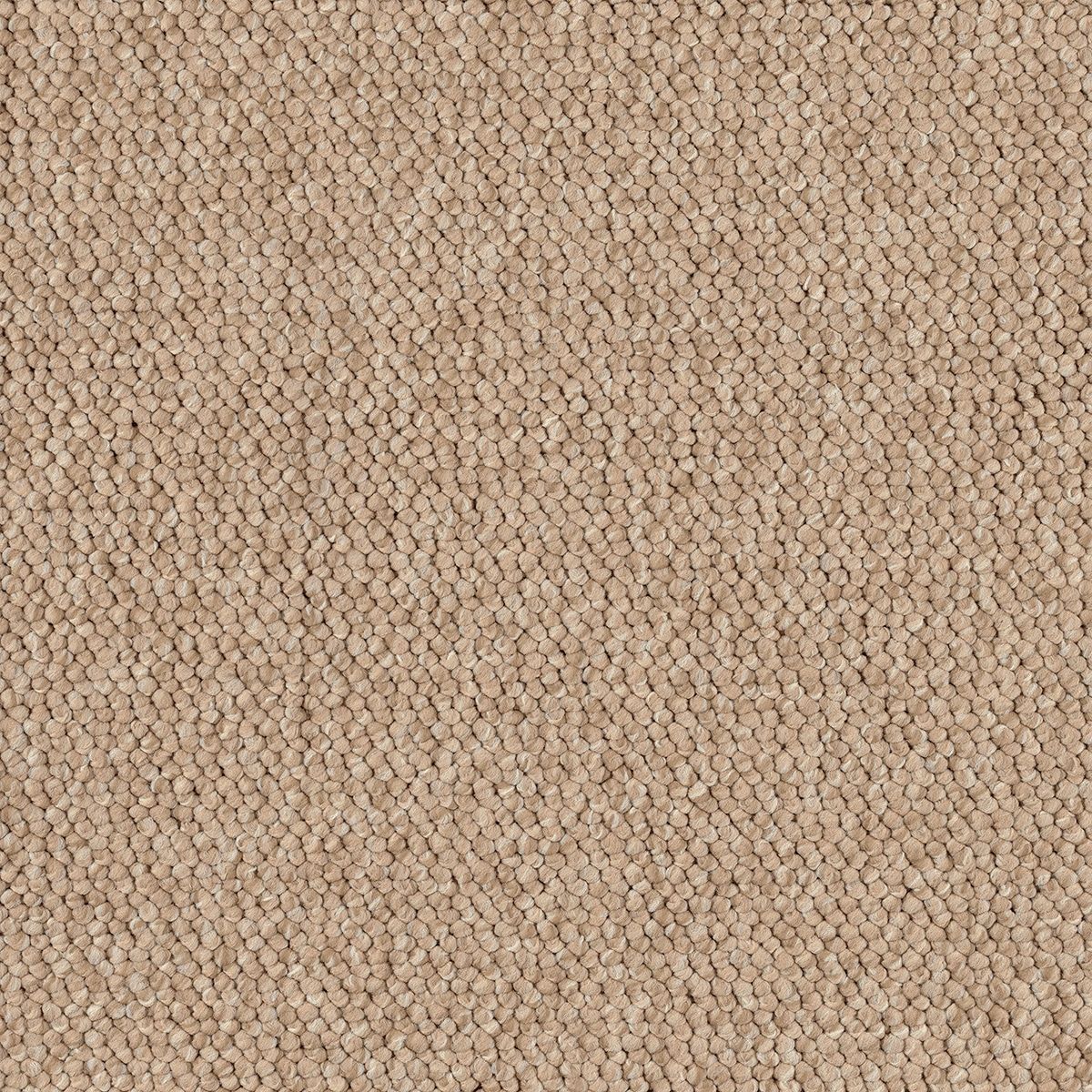 Estera 2550