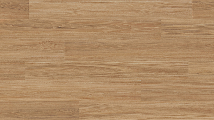 Orion Blackbutt