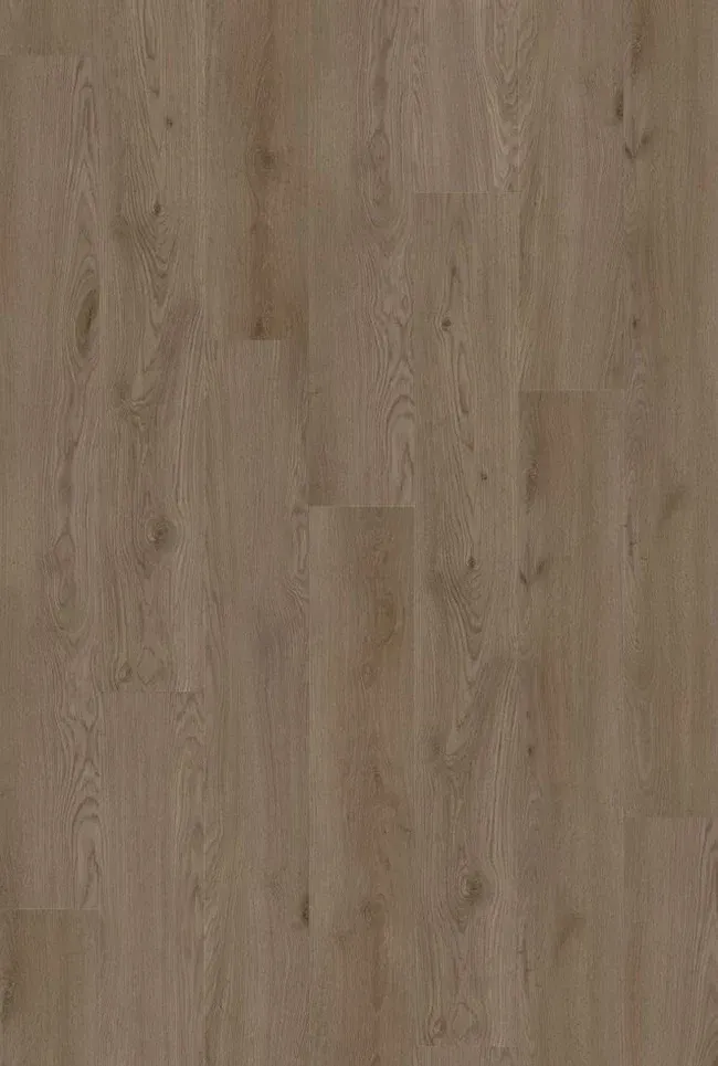 Malt Oak