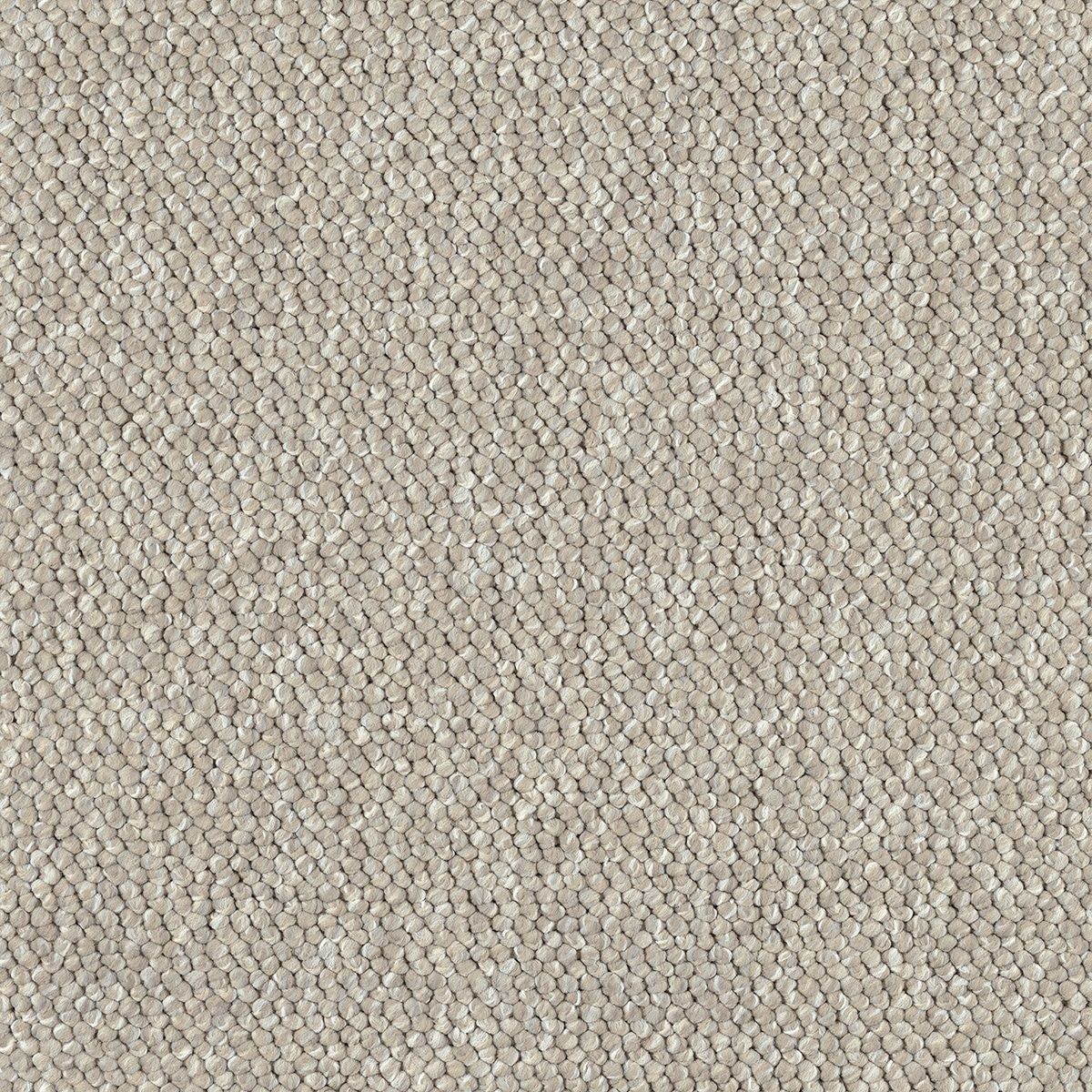 Pascal 2543