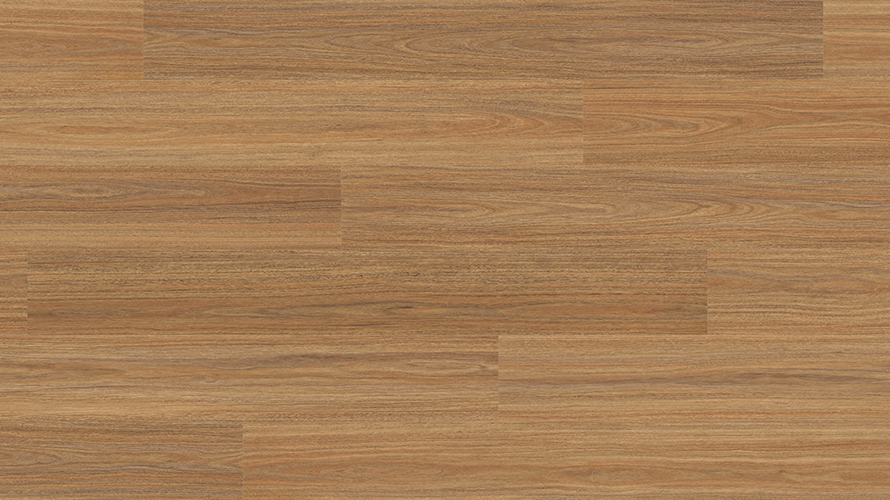 Orion Spotted Gum
