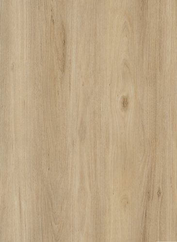 Tasmanian Oak