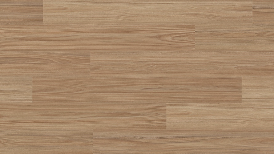 Andromeda Blackbutt